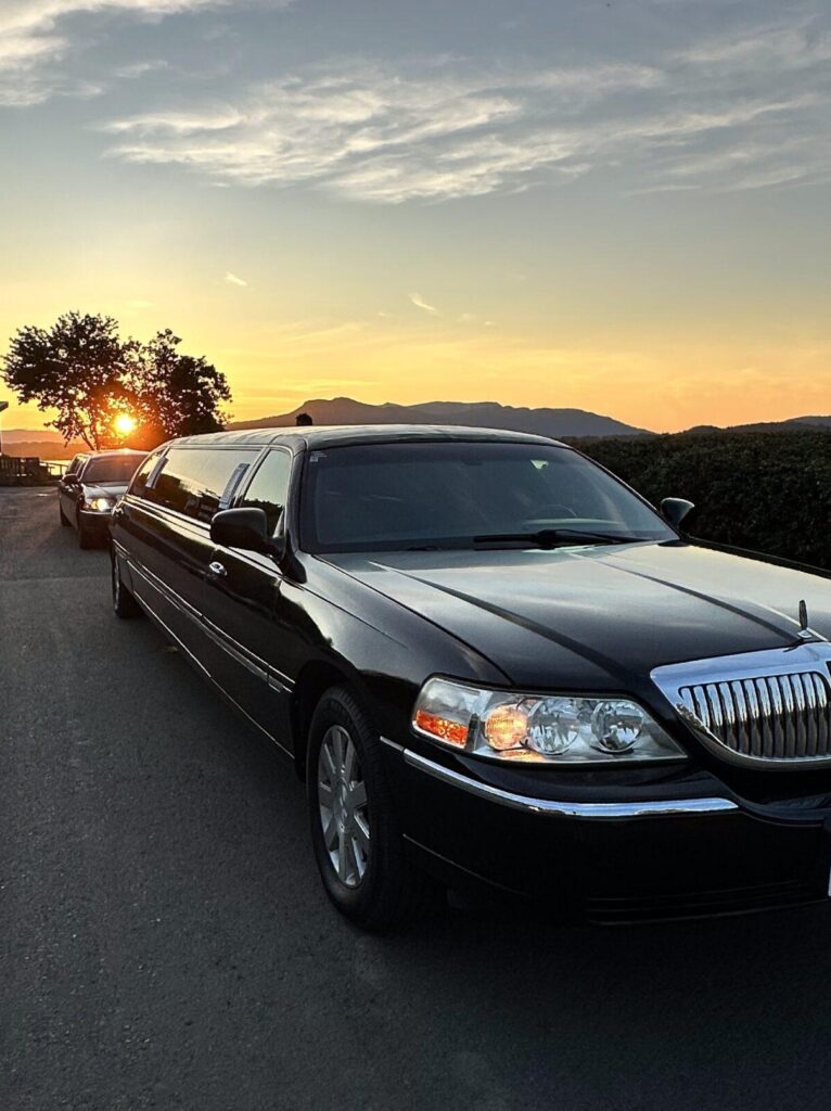 Black limousines at sunset